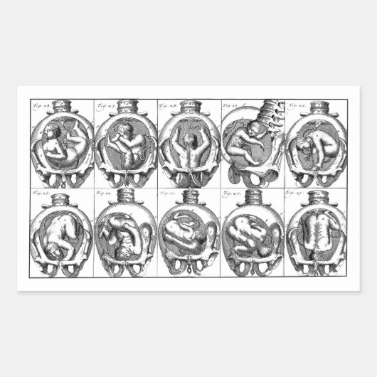 Sticker Rectangulaire Illustration de l'anatomie du bébé dans l'utérus V (Devant)