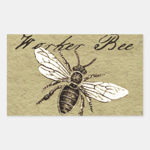 Sticker Rectangulaire Illustration de l'insecte d'abeille vintage