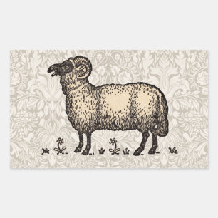 Sticker Rectangulaire Illustration de mouton vintage : Art classique de