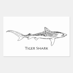 Sticker Rectangulaire Illustration du requin tigre