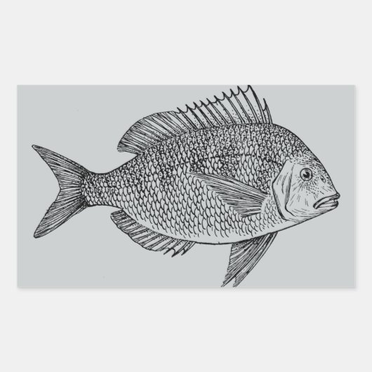 Sticker Rectangulaire Illustration marine de poisson vintage (Devant)