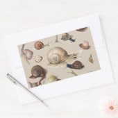 Sticker Rectangulaire Illustration scientifique de limaces de jardin vin (Enveloppe)