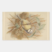 Sticker Rectangulaire Illustration vintage de Bluetit (Devant)
