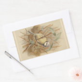 Sticker Rectangulaire Illustration vintage de Bluetit (Enveloppe)