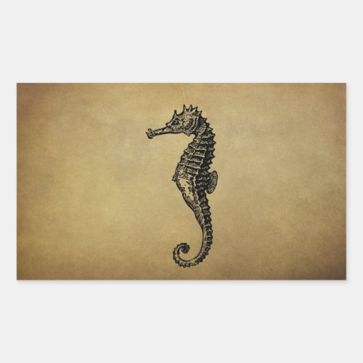 Sticker Rectangulaire Illustration vintage Seahorse (Devant)