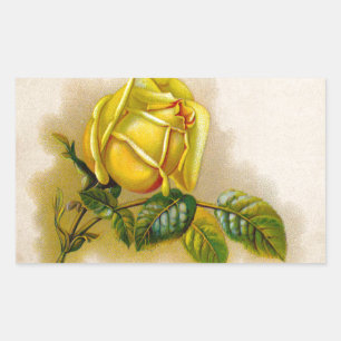 Sticker Rectangulaire Impression d'art antique fine de rose jaune