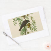 Sticker Rectangulaire Impression d'oiseau Grackle violet d'Audubon Botan (Enveloppe)