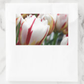 Sticker Rectangulaire Impression tulipe rouge et blanche étonnante (Sac)