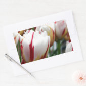 Sticker Rectangulaire Impression tulipe rouge et blanche étonnante (Enveloppe)
