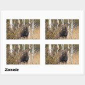 Sticker Rectangulaire Impressionnant orignal (Feuille)