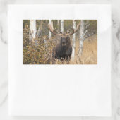 Sticker Rectangulaire Impressionnant orignal (Sac)