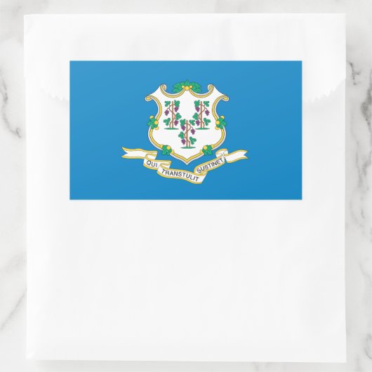 Sticker Rectangulaire Indicateur Connecticut (Sac)