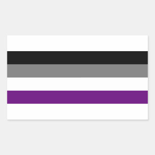 Sticker Rectangulaire Indicateur de fierté sexuelle [ Ace Demi Gris