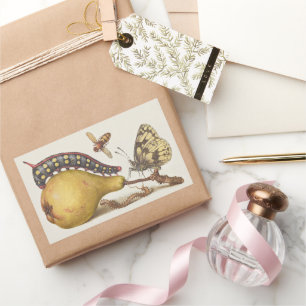 Sticker Rectangulaire Insectes de jardin, mouche, chenille, poire, mille