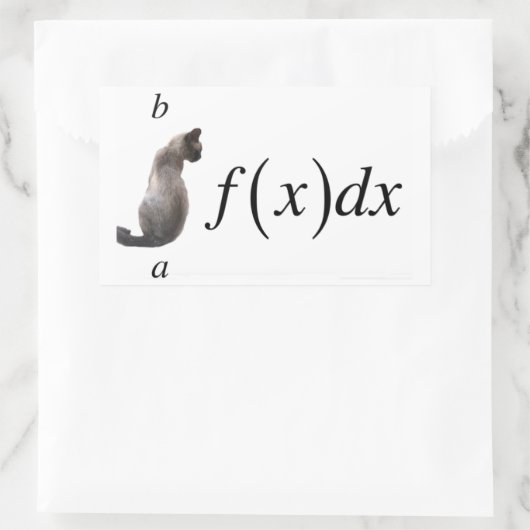 Sticker Rectangulaire Integral cat (Sac)