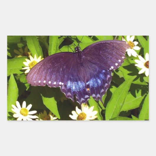 Sticker Rectangulaire Iridescente Bleu violet avec ailes de papillon noi (Devant)