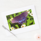 Sticker Rectangulaire Iridescente Bleu violet avec ailes de papillon noi (Enveloppe)