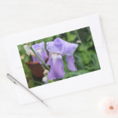 Sticker Rectangulaire Iris. (Enveloppe)
