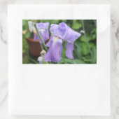Sticker Rectangulaire Iris. (Sac)