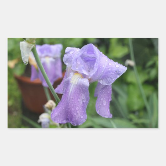 Sticker Rectangulaire Iris. (Devant)