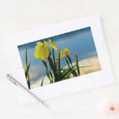 Sticker Rectangulaire Iris jaune à Lake Shore (Enveloppe)