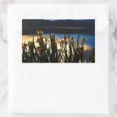 Sticker Rectangulaire Iris jaunes sur la rive du lac Arrowhead (Sac)