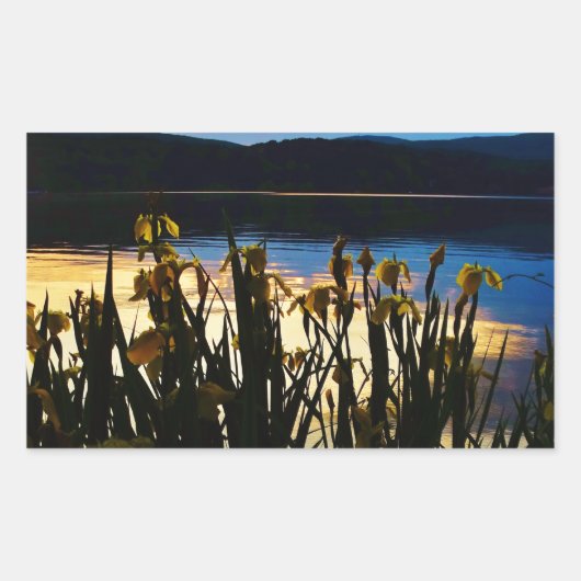Sticker Rectangulaire Iris jaunes sur la rive du lac Arrowhead (Devant)