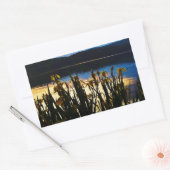 Sticker Rectangulaire Iris jaunes sur la rive du lac Arrowhead (Enveloppe)