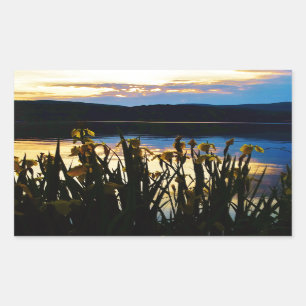 Sticker Rectangulaire Iris jaunes sur la rive du lac Arrowhead