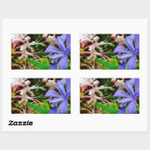 Sticker Rectangulaire Iris Nain Crêché (Feuille)