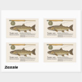 Sticker Rectangulaire Iwana (Salvelinus leucomaenis) – English Illust (Feuille)