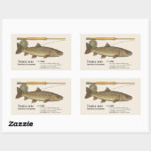 Sticker Rectangulaire Iwana (Salvelinus leucomaenis) – Fish Illustration (Feuille)