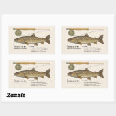 Sticker Rectangulaire Iwana (Salvelinus leucomaenis) – Japanese Illust (Feuille)