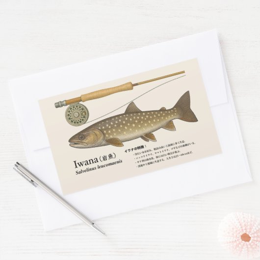 Sticker Rectangulaire Iwana (Salvelinus leucomaenis) – Japanese Illust (Enveloppe)