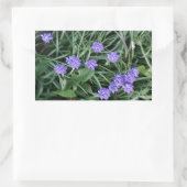 Sticker Rectangulaire jacinthe de raisin commun, fleur violet bleu, flor (Sac)