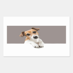 Sticker Rectangulaire Jack Russell Chien Chien Chien Mignonne Adorable D