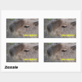 Sticker Rectangulaire J'adore les capybaras (Feuille)