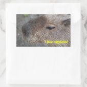 Sticker Rectangulaire J'adore les capybaras (Sac)