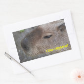 Sticker Rectangulaire J'adore les capybaras (Enveloppe)