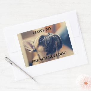 Sticker Rectangulaire J'adore mon bouledogue français