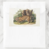 Sticker Rectangulaire Jaguar (Felis onca) d'Amérique du Nord (1845) (Sac)
