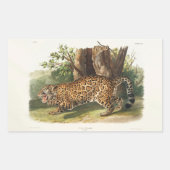 Sticker Rectangulaire Jaguar (Felis onca) d'Amérique du Nord (1845) (Devant)