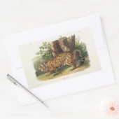 Sticker Rectangulaire Jaguar (Felis onca) d'Amérique du Nord (1845) (Enveloppe)