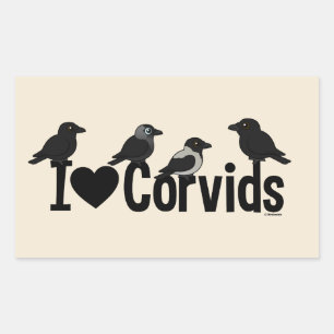 Sticker Rectangulaire J'Aime Les Corvids