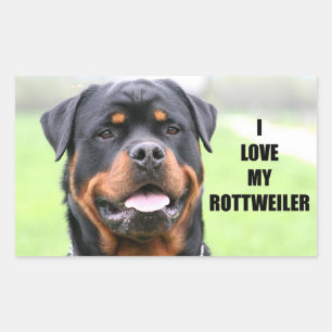 Sticker Rectangulaire J'aime mon Rottweiler