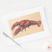Sticker Rectangulaire James Sowerby Homard serbé (Enveloppe)