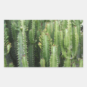Sticker Rectangulaire Jardin de Cactus