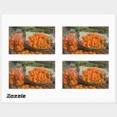 Sticker Rectangulaire Jardin Habanero (Feuille)