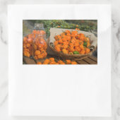 Sticker Rectangulaire Jardin Habanero (Sac)