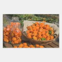 Jardin Habanero